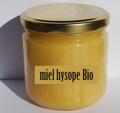 miel fleur hysope
